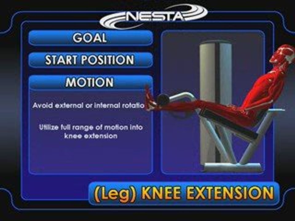Leg Extension Exercise