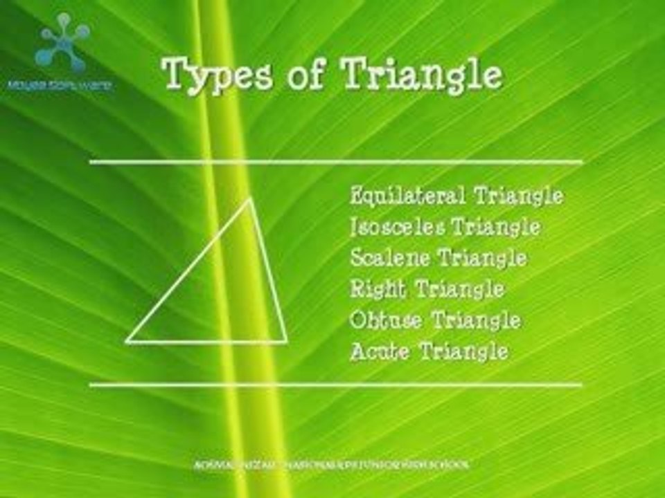 Triangle - Types of Triangle