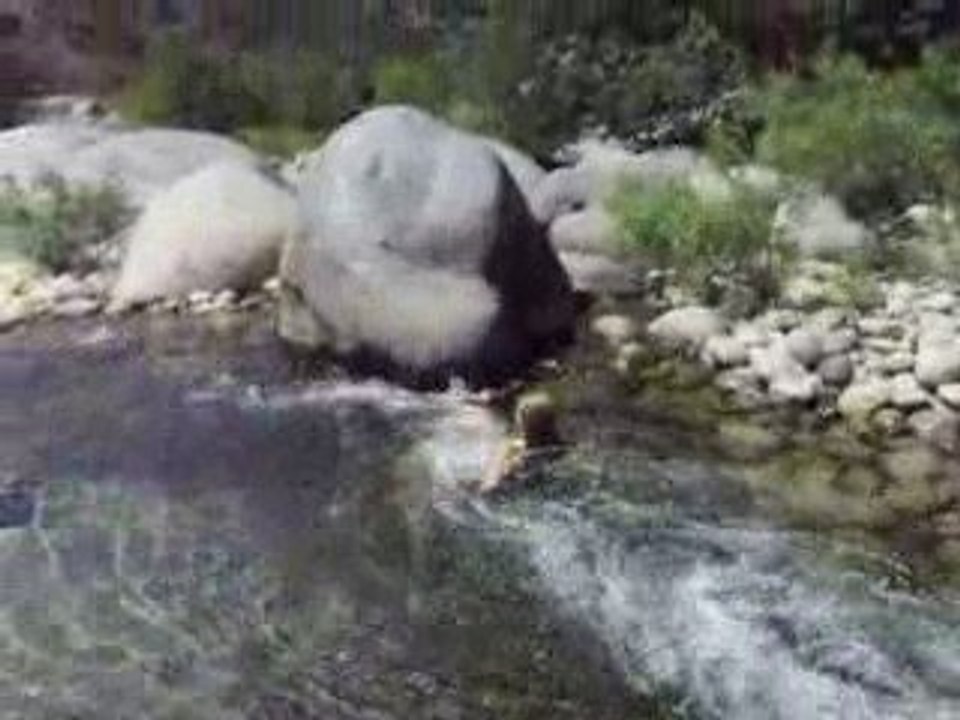 les sliding down potwisha