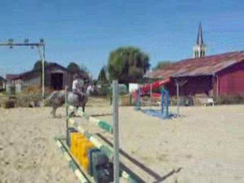 Unie Blue ponette cso