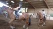 3 eme cours d'équitation de sylvie