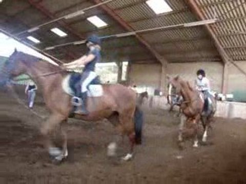 3 eme cours d'équitation de sylvie