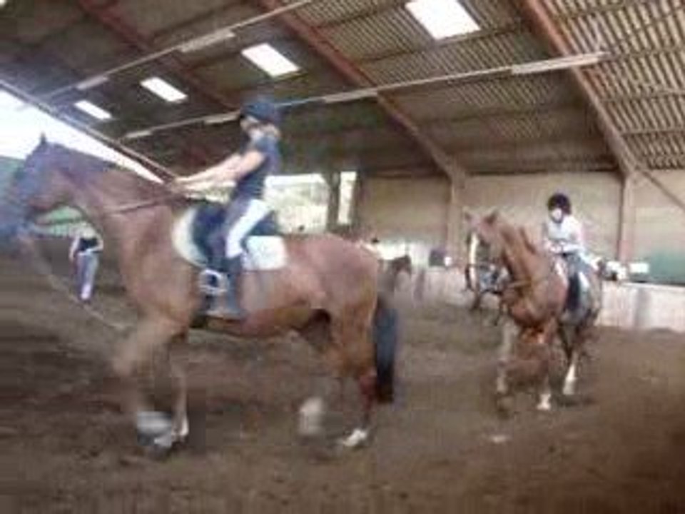 3 eme cours d'équitation de sylvie