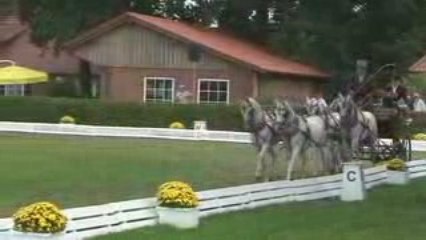 Greven 2009 - dressage Jan Nijs