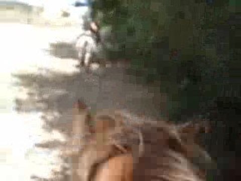 balade 14 aout (galop)