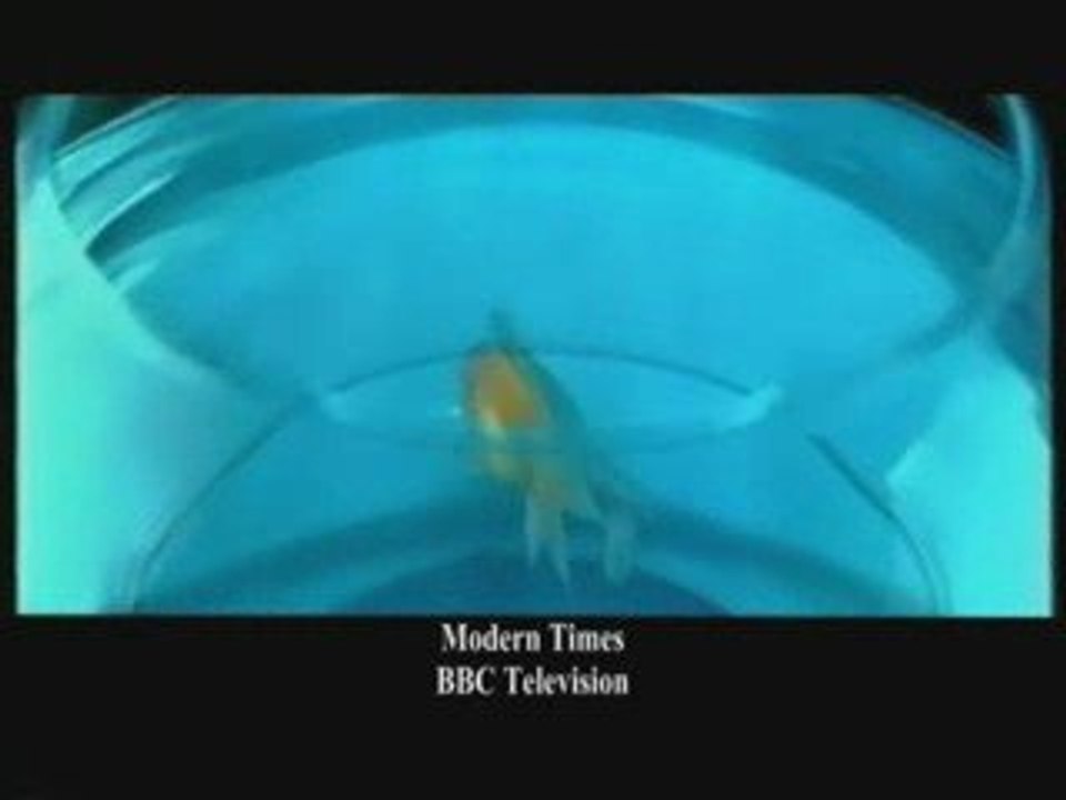 Tolga Kashif Bespoke Showreel - BBC "Modern Times"
