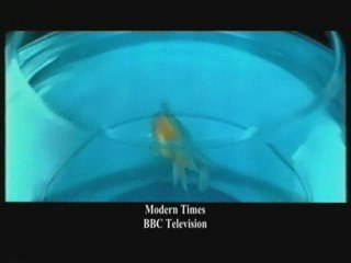 Tolga Kashif Bespoke Showreel - BBC "Modern Times"