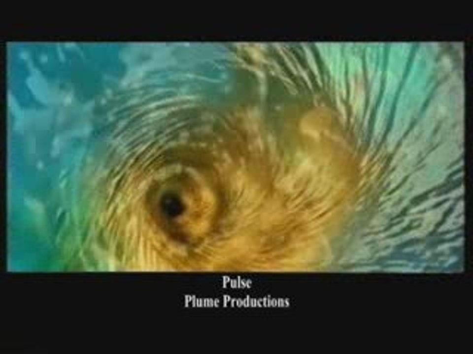 Tolga Kashif Bespoke Showreel - Pulse, Plume Productions