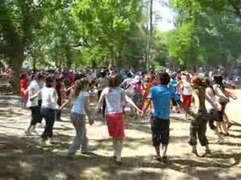 branichevo.com sunar (sharvi koyu) piknik krivo horo