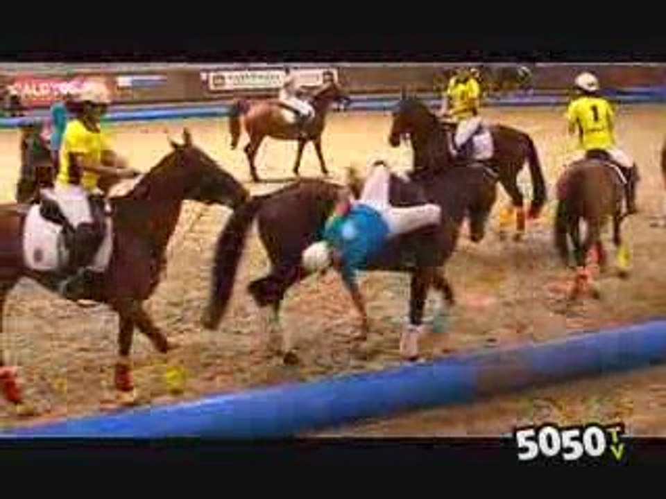 Normandie Horse show 2009 : du Horse Ball de haut niveau