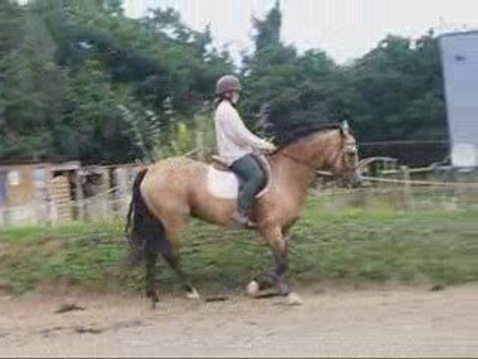 Fin de la séance sur le plat de ponam