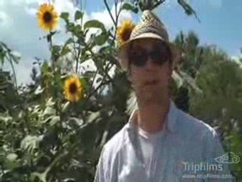 Denver Botanic Gardens