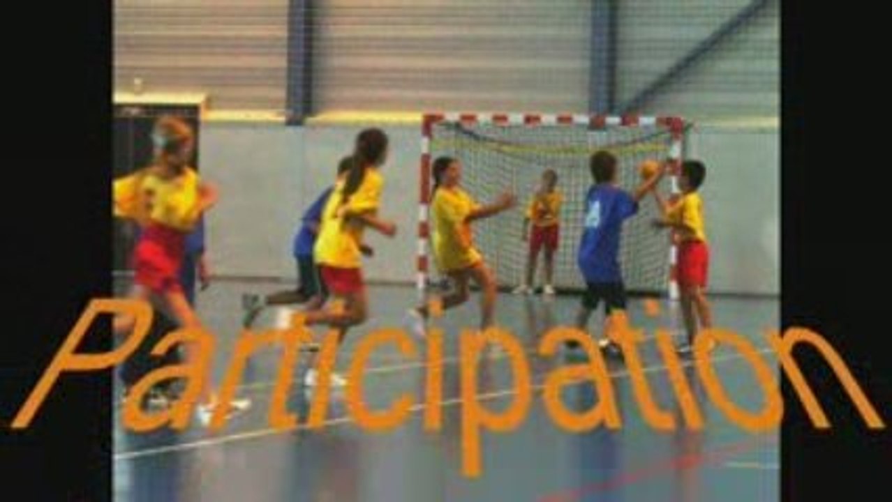 Handball Club Thorois - Equipes 2008-2009