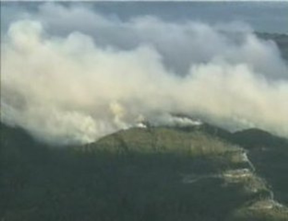 Waldbrand_1