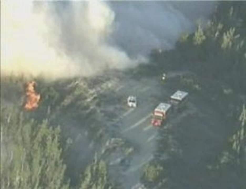 Waldbrand_2