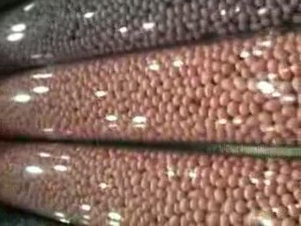Mnm's World