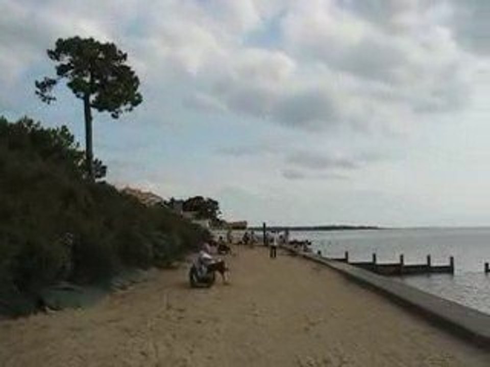 Saint Brévin : pins & océan