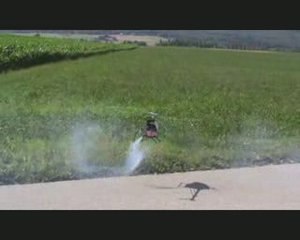 Meeting Grens Part.I