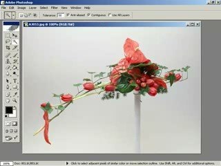 photoshop da ayni rengin  kullanildigi alani secmek