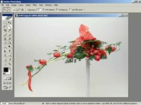 photoshop da ayni rengin kullanildigi alani secmek