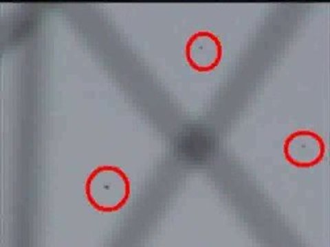 UFO Fleet 10 June 2009 Flota Ovni Capital Federal Video
