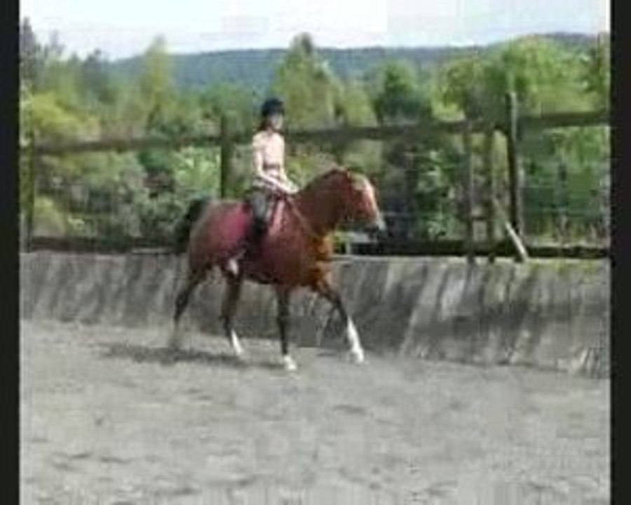 chgt pied.claire