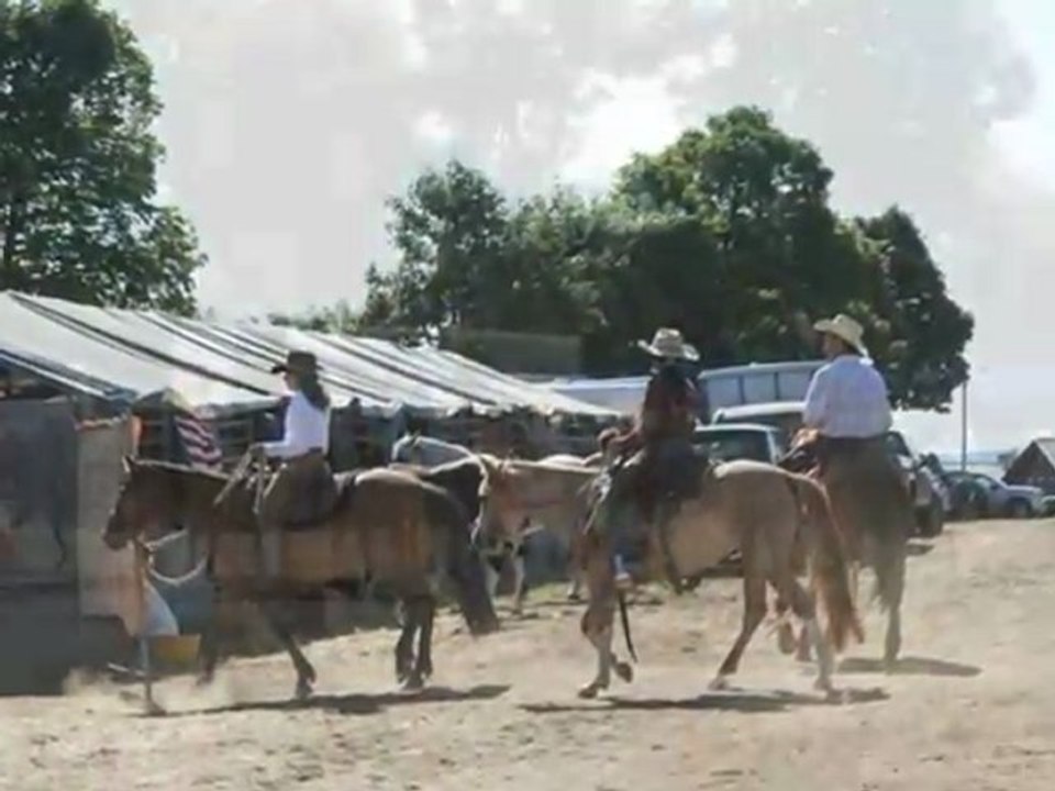 equiblue st agreve 2009