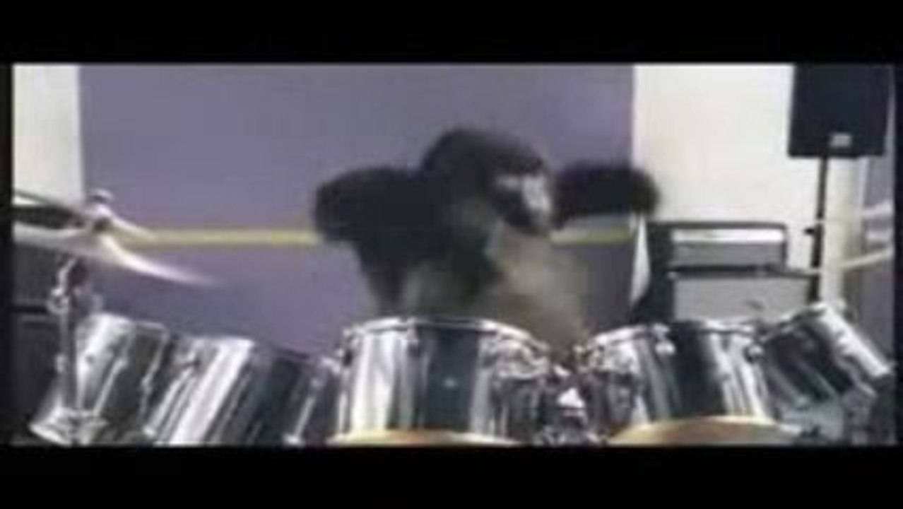 Gorilla Ad