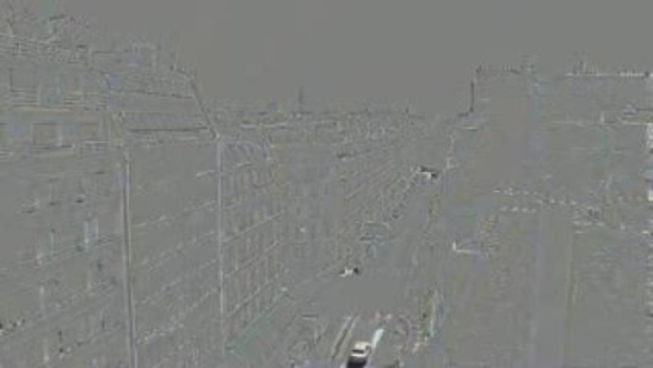 MVI_0219