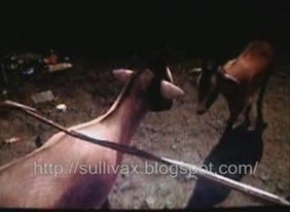 Far Cry II Bug Chèvres