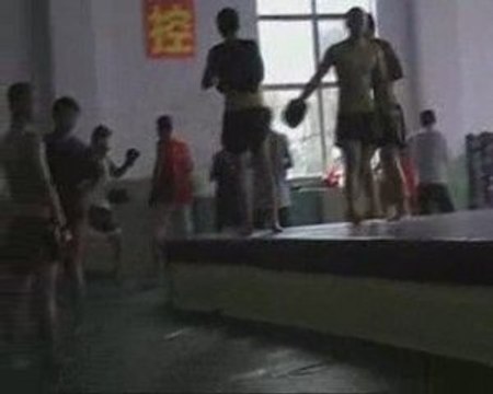 sanda sanshou et qinda