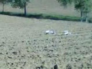 meute sur lievre: defaut dans un labour.