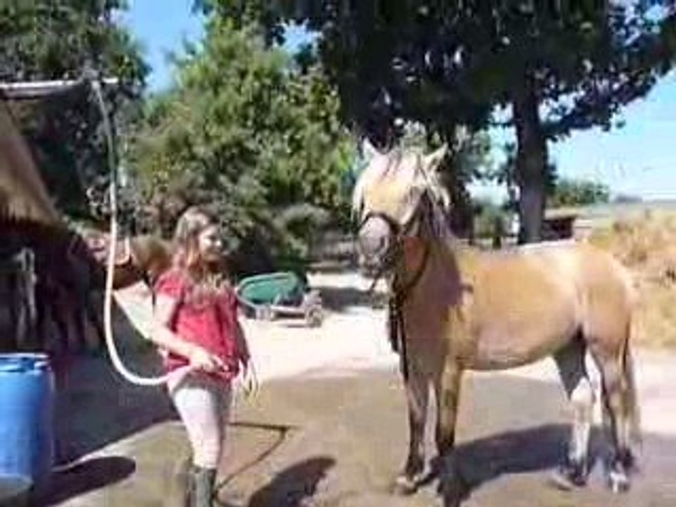 Ruse qui boit au jet d'eau de la douche.