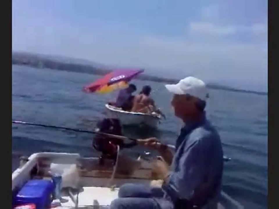 Mezgit avı/www.amatorbalikci.net