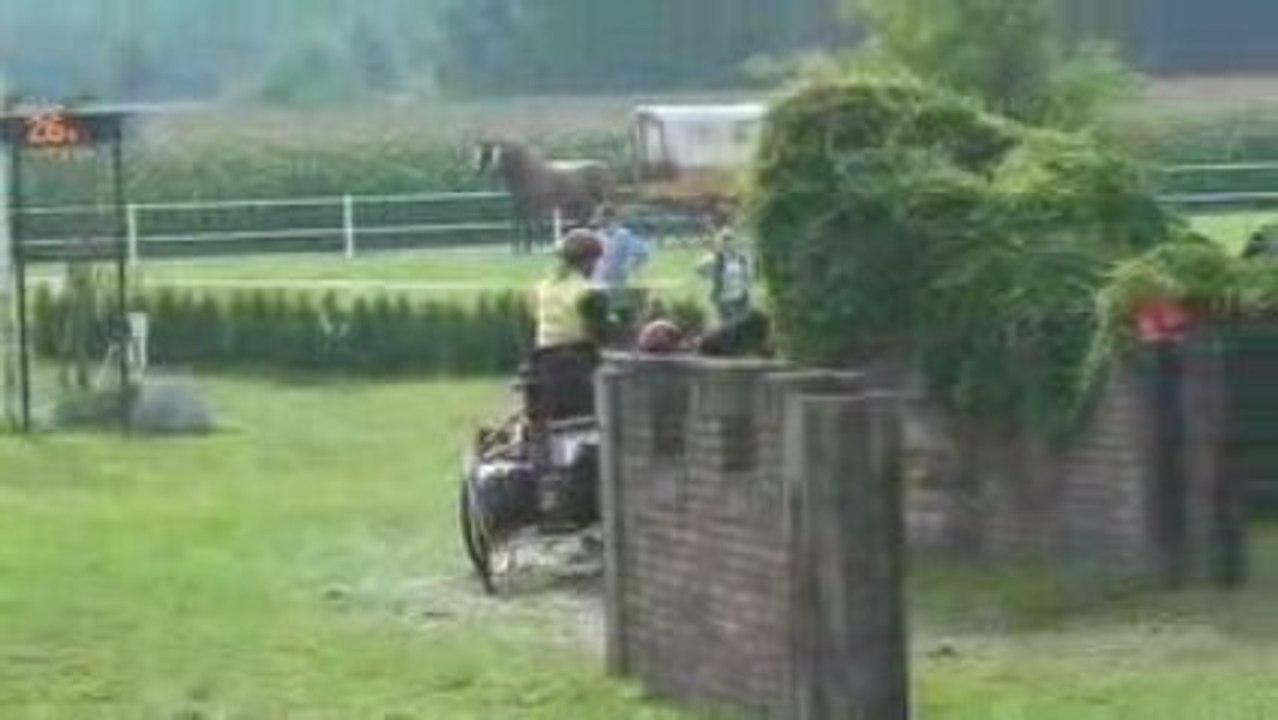 Johan H4