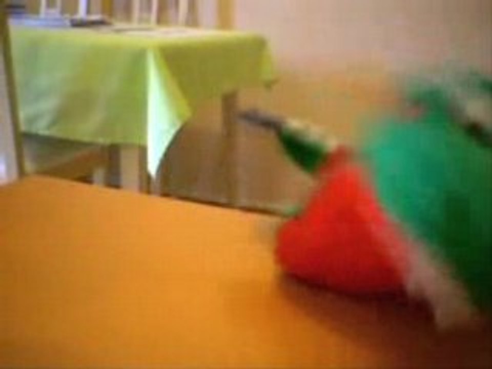 Course aux nescargots