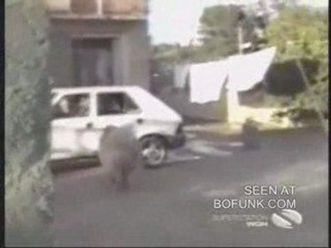 [FUNNY ] Regis et le Mouton du Méchoui [Goodspeed]