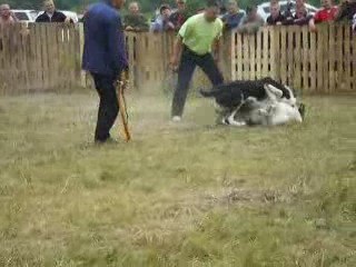 Сен Сао Шахыр-Карат 1часть