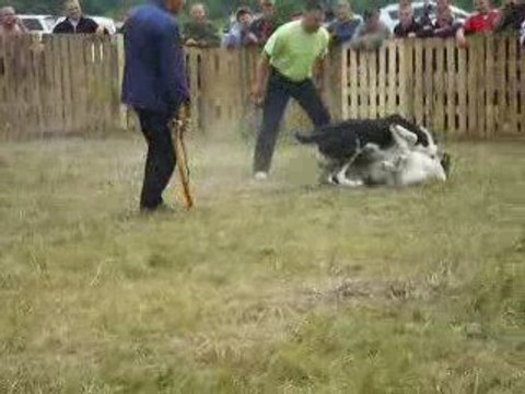 Сен Сао Шахыр-Карат 1часть