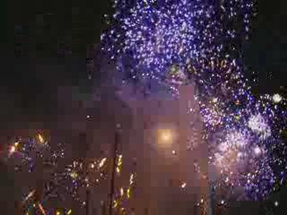 Feux d'artifices de genève 2009