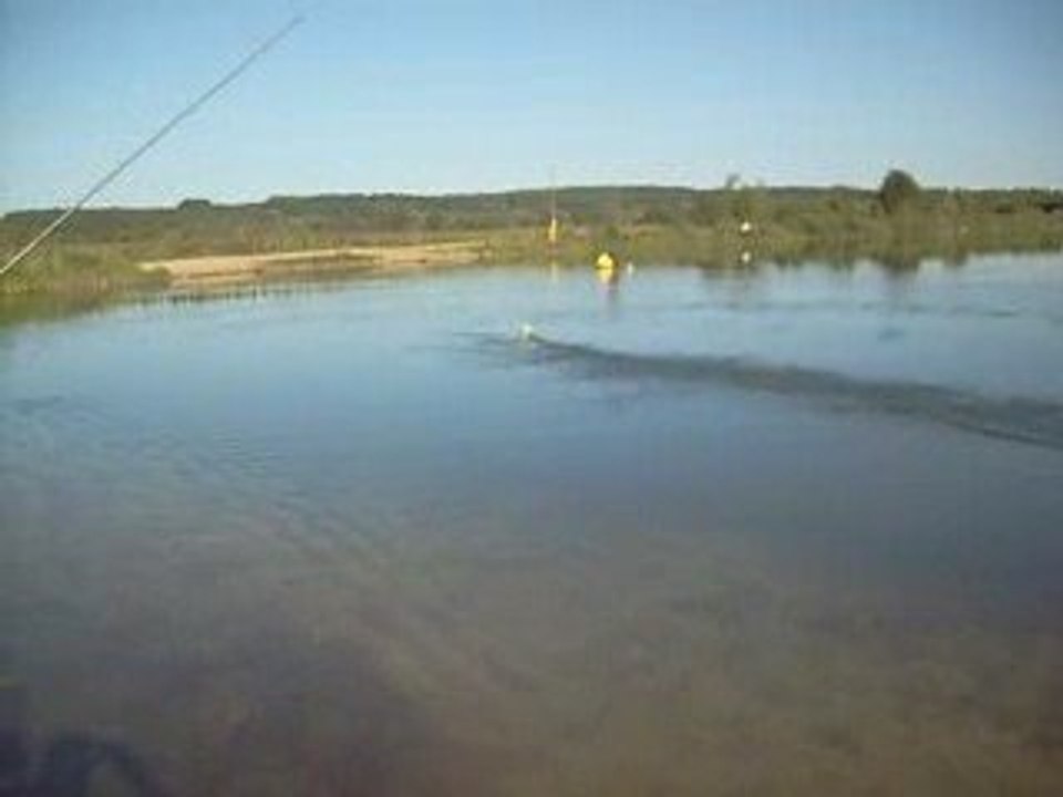 micro boat poulpito 480