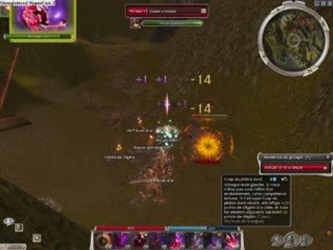 présentation d'un assassin de guild wars