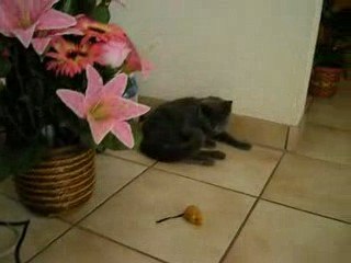 9ème vidéo de Sacha Coeur d'Velours