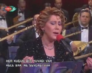 Bircan Pullukcuoglu - Güz Mü Geldi Rengin Soluk