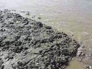 La Bernerie en Retz : panorama marée basse