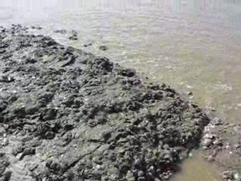 La Bernerie en Retz : panorama marée basse