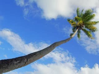 Polynésie Française