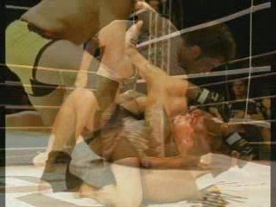 Platinum Fight Brazil