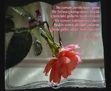 ferdi tayfur-HER SAAT BAŞINDA