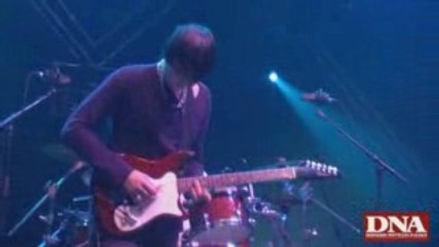 Concert Babyshambles festival foire aux vins colmar (2) 2009